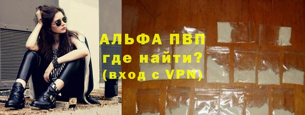 индика Арсеньев