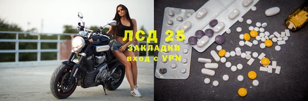 ГАЛЛЮЦИНОГЕННЫЕ ГРИБЫ Аркадак