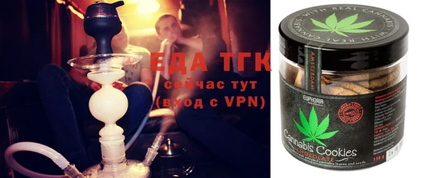 индика Арсеньев