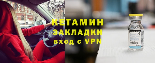 индика Арсеньев