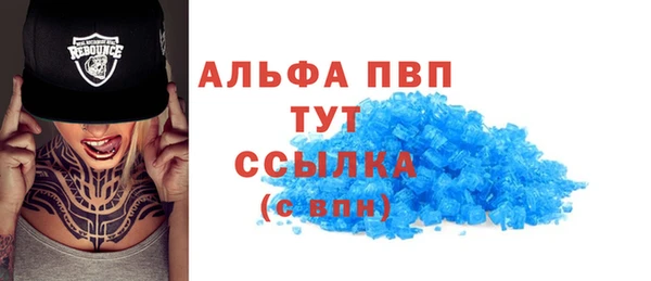 индика Арсеньев