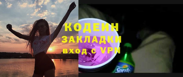 индика Арсеньев