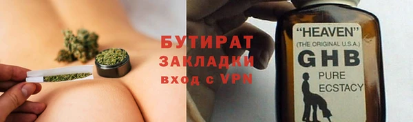 ГАЛЛЮЦИНОГЕННЫЕ ГРИБЫ Аркадак
