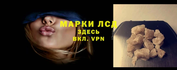 индика Арсеньев