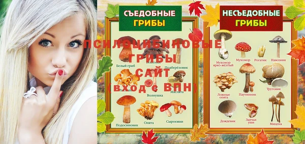 индика Арсеньев