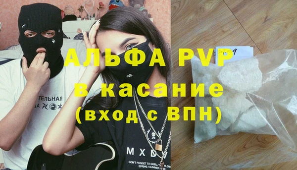 ГАЛЛЮЦИНОГЕННЫЕ ГРИБЫ Аркадак