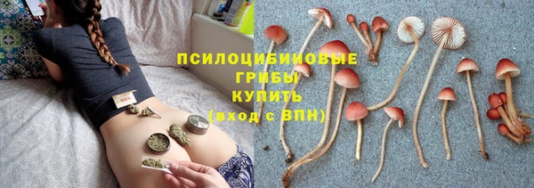 индика Арсеньев