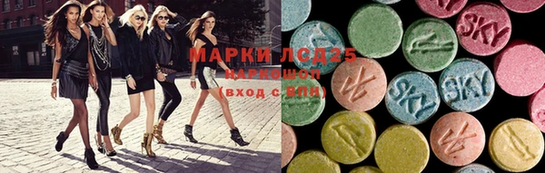 индика Арсеньев
