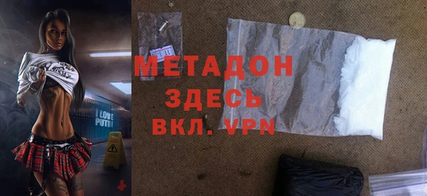 индика Арсеньев