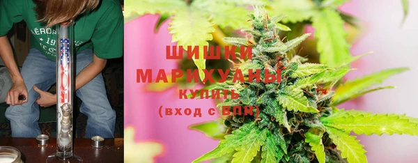 ГАЛЛЮЦИНОГЕННЫЕ ГРИБЫ Аркадак