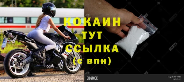 индика Армянск
