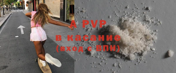 индика Арсеньев